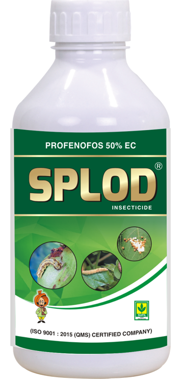 Cifo nephorin insecticide appÂt pour cafards 110882