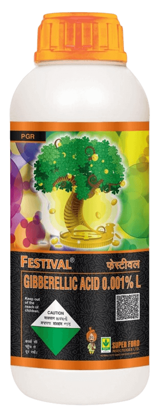 Festival_product